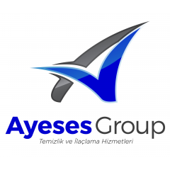 Ayeses Group