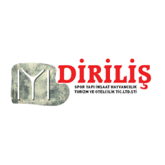 Diriliş Spor Yapı İnşaat Hay Tur ve Otelcilik Tic Ltd Şti