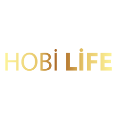 Hobi Life Danışmanlık Yapı Tic Ltd Şti
