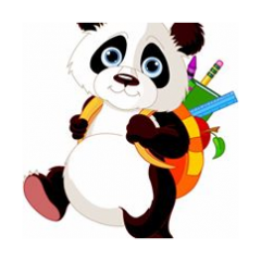 Minik Panda Sefaköy Anaokulu
