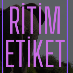 Ritim Etiket Sanayi İth İhr Ltd Şti