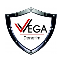 Vega Analiz Denetim Danışmanlık San Tic Ltd Şti