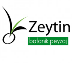 Zeytin Botanik Peyzaj İnş San ve Tic Ltd Şti