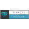 Diamond Voyage Turizm Tic Ltd Şti