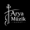 &Ouml;zel Darıca Arya M&uuml;zik Okulu